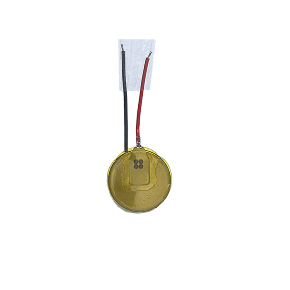 2 ピース/ロット CP1254 A3 A4 充電式リチウム - Beats Headphone Powerbeats Pro のレビューと価格